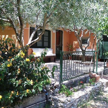 Il Vigneto "Cottage" Gaggi Номер фото