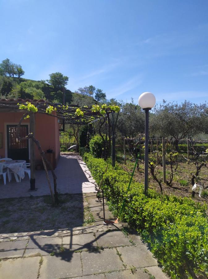 Il Vigneto "Cottage" Gaggi Екстер'єр фото